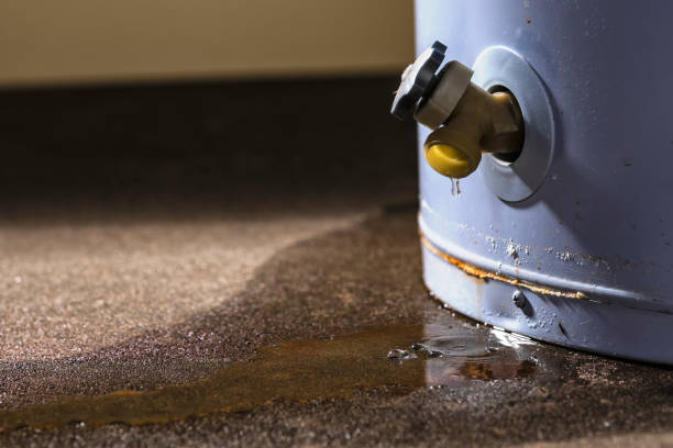 Best Water damage restoration process  in Monte Sereno, CA