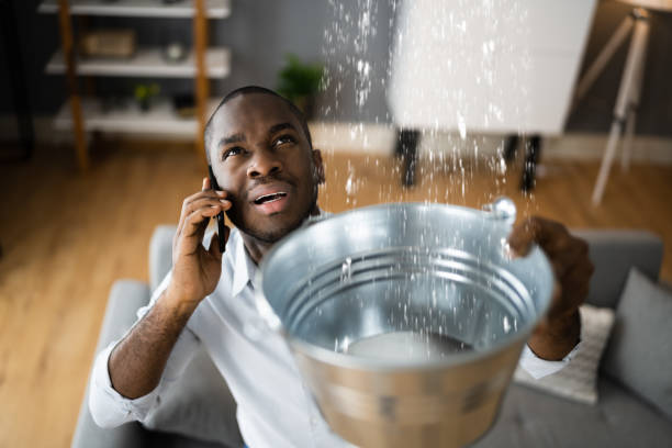 Best Basement water damage restoration  in Monte Sereno, CA
