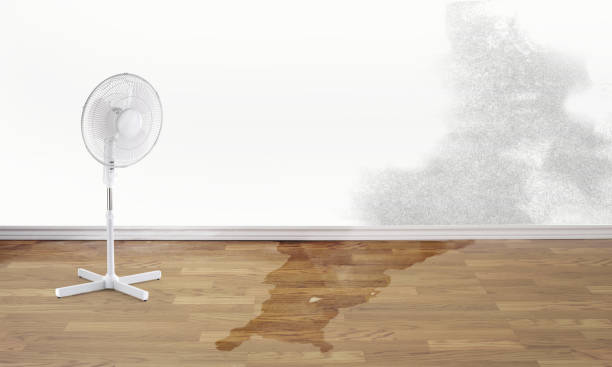 Trusted Monte Sereno, CA Water damage restoration Experts