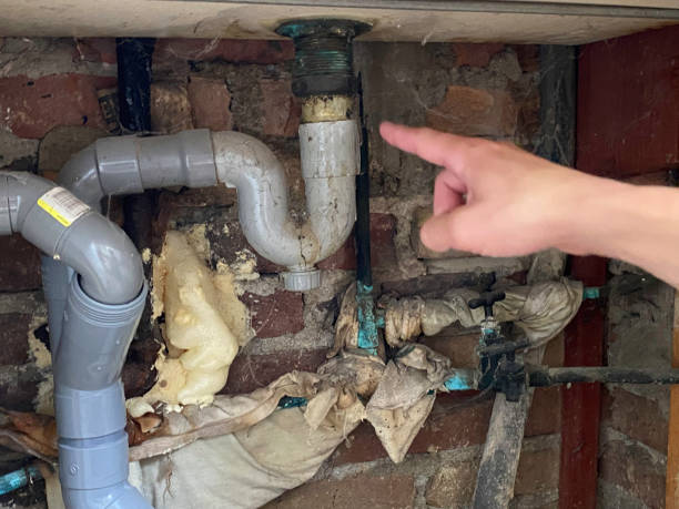 Best Water damage contractors near me  in Monte Sereno, CA